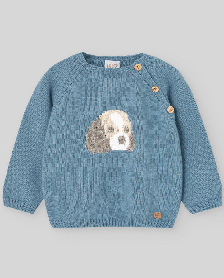 Baby boy Blue Sweater with doggy Design 6M