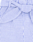 Blue striped shorts