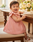 Baby Girl in Pink Plumeti Dress - Celebration