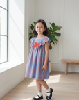 Blue Red Striped Dress Commercial Photo
